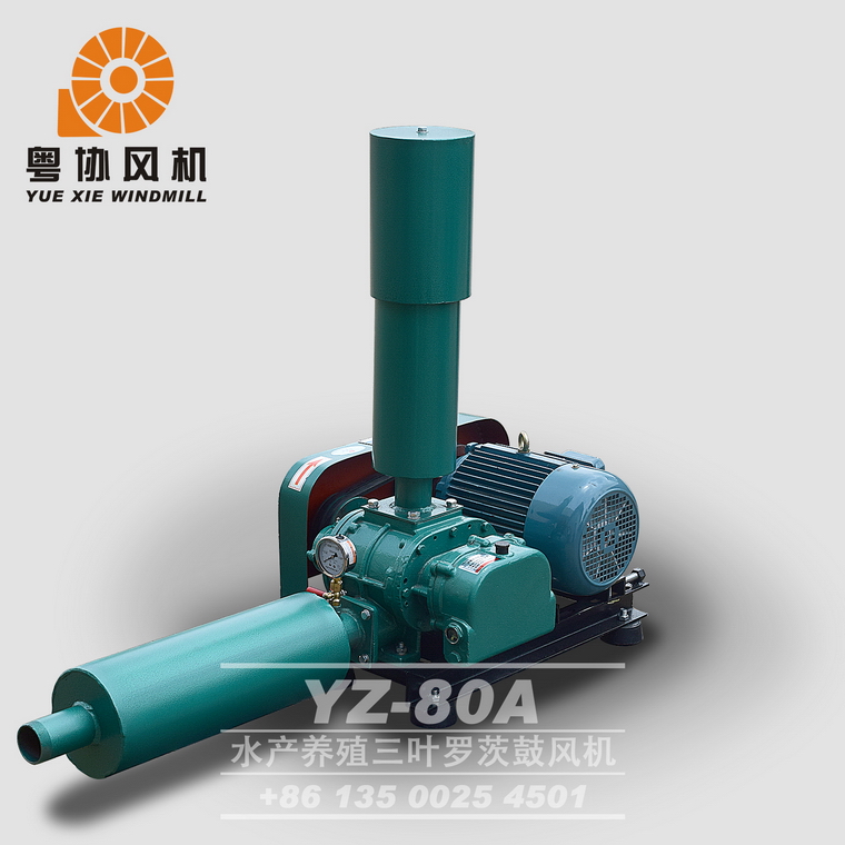 YZ-80A水產(chǎn)養(yǎng)殖三葉羅茨鼓風(fēng)機(jī)